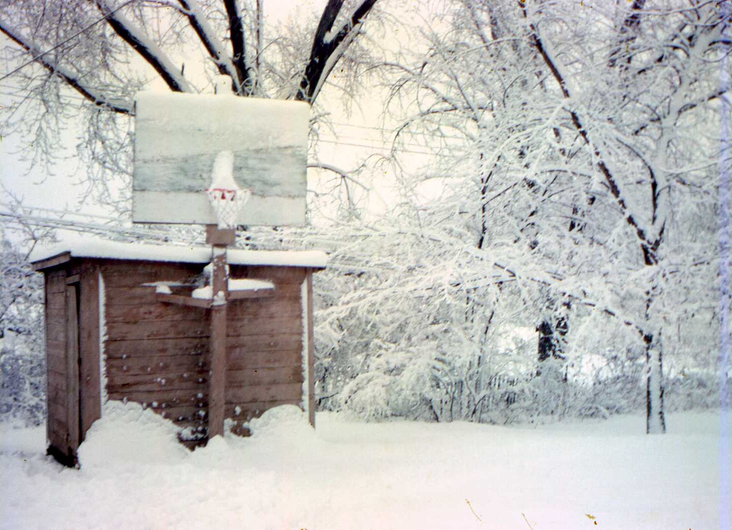 Elmquist shed, BB hoop, cottonwood trees in snow